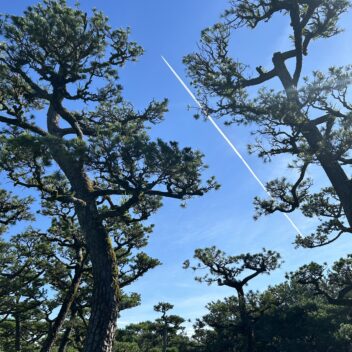 お金が貯まる人と貯まらない人