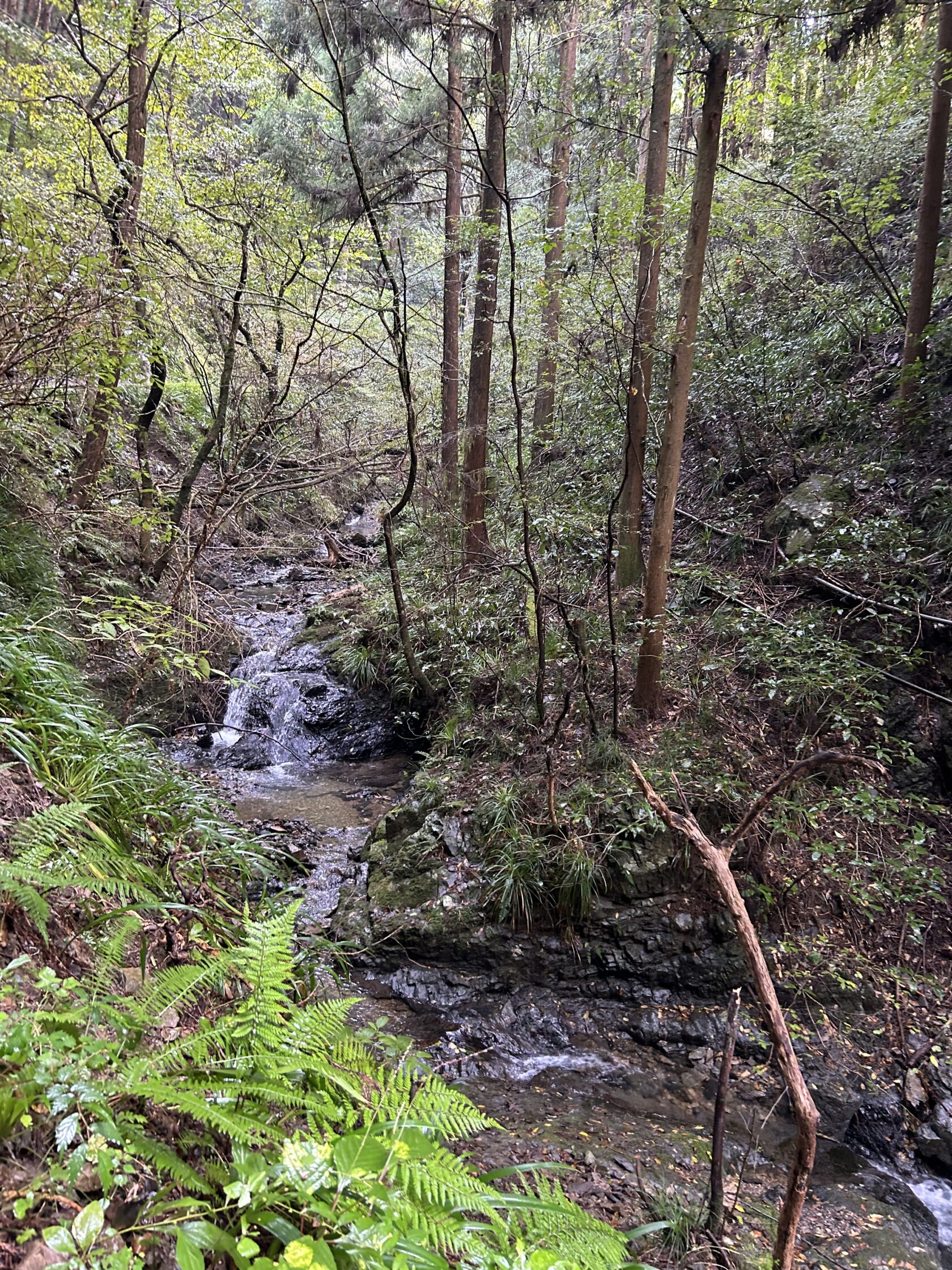 債券について