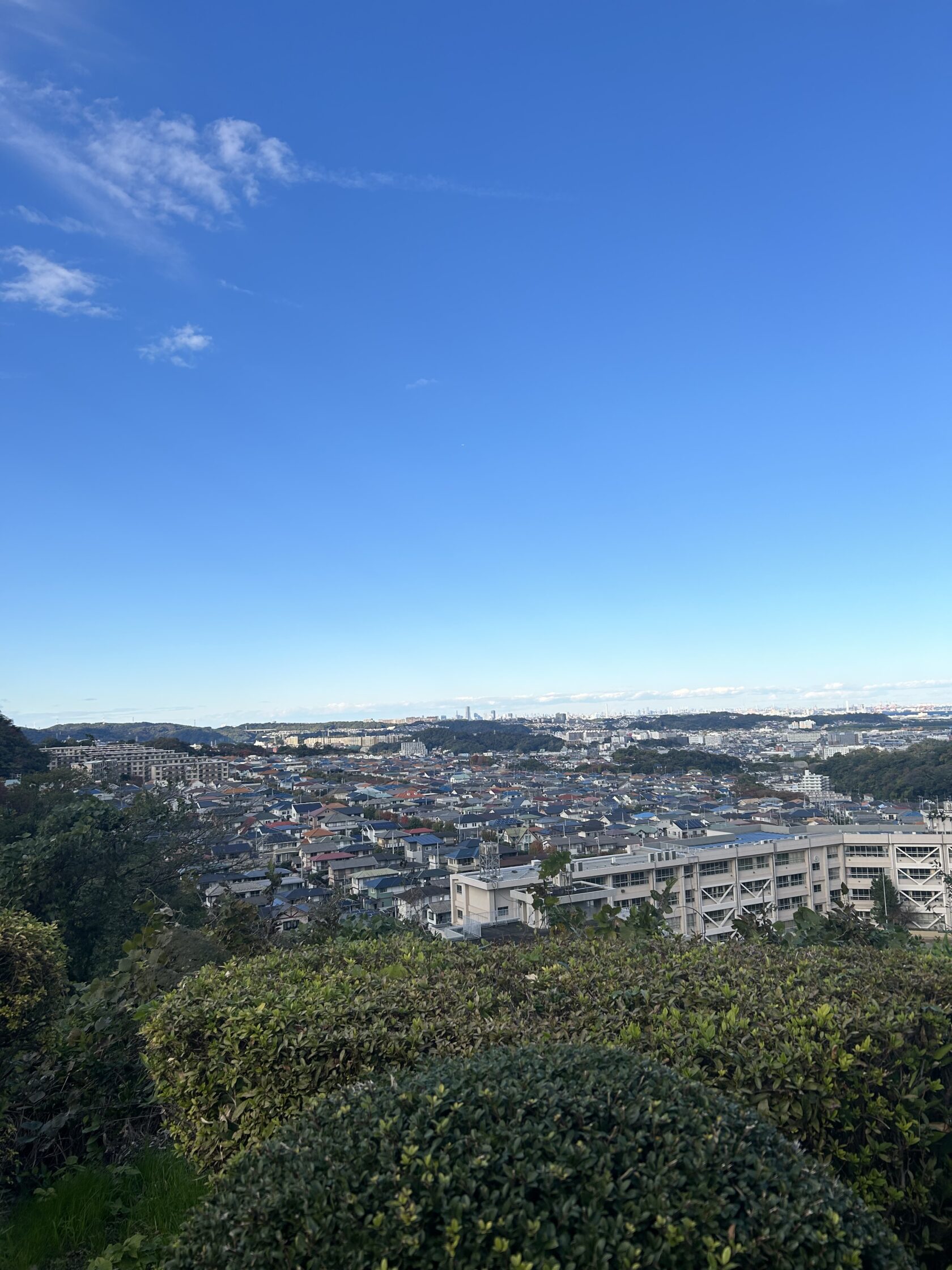 世界経済とマーケットの現状