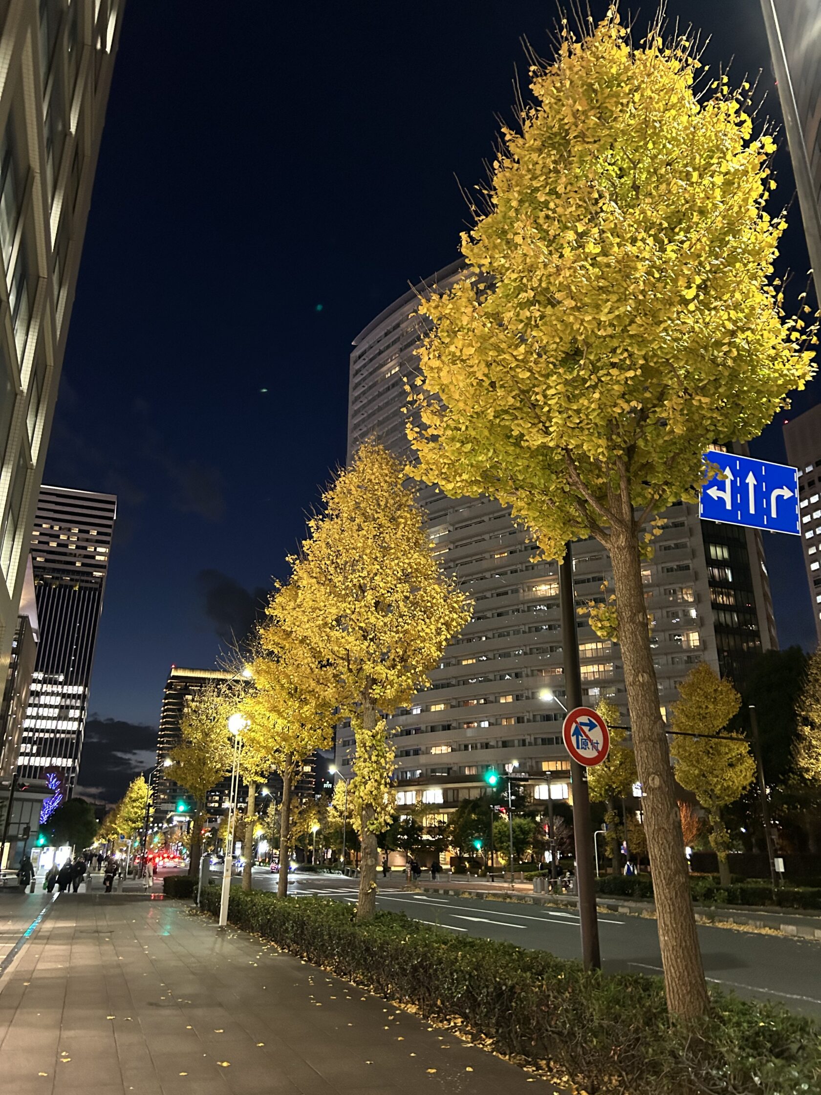 2024年の振り返りと年末にすべきこと