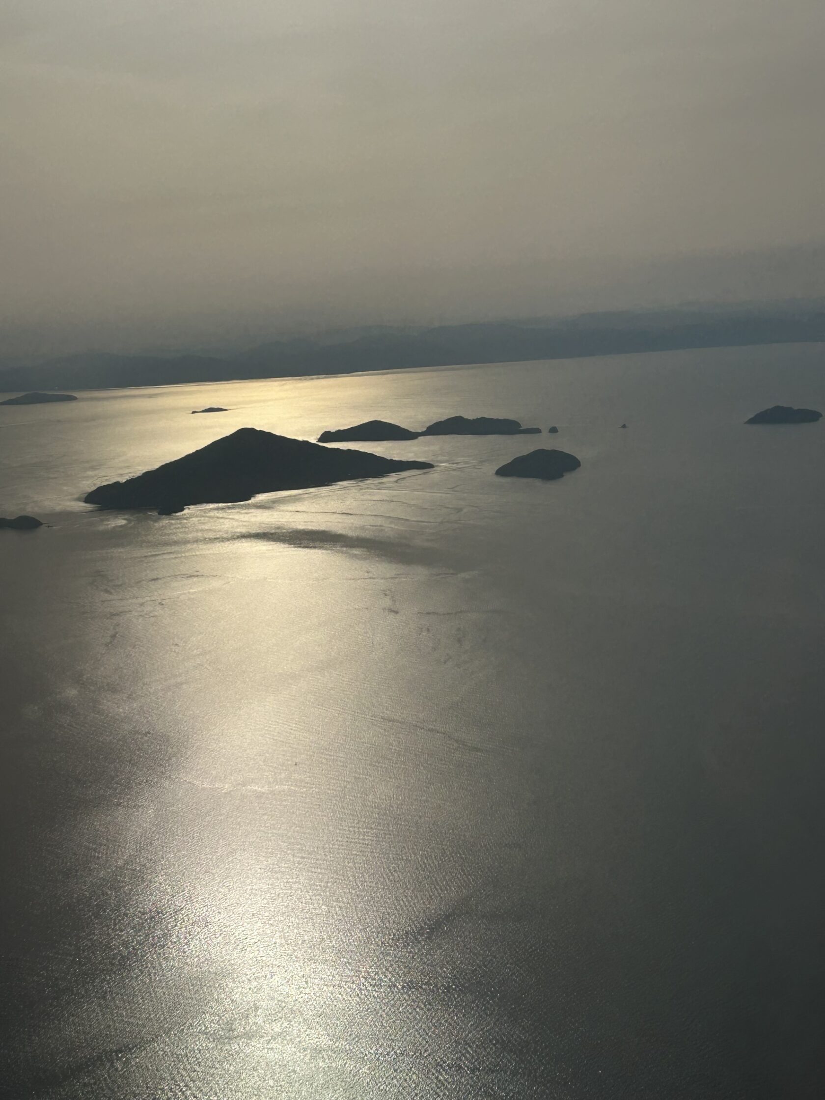 混沌とする世界