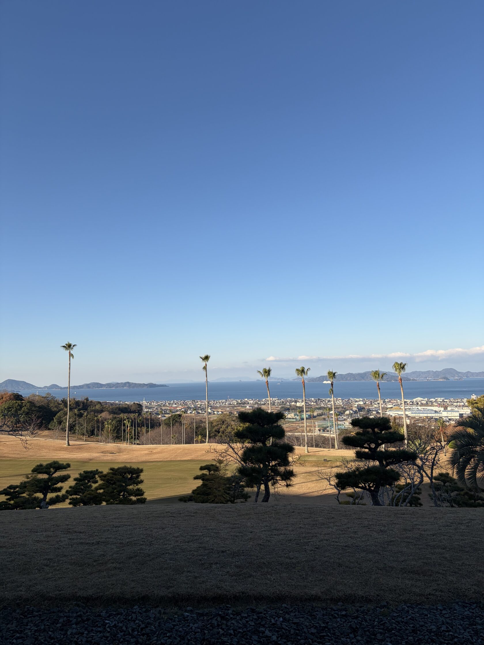 変化への対応