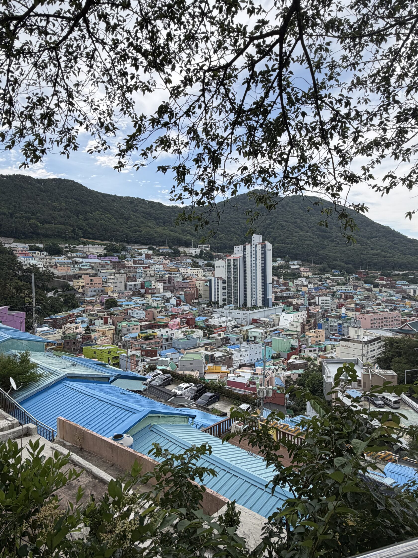 釜山小旅行