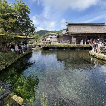 長期投資における債券の役割