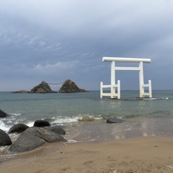 変化への対応